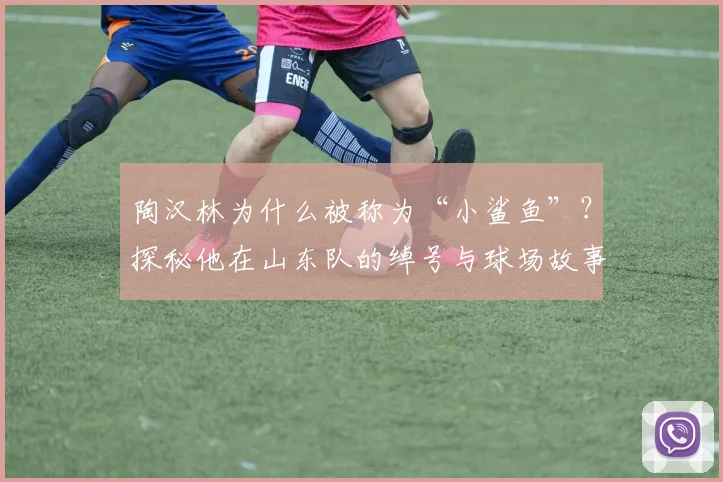 陶汉林为什么被称为“小鲨鱼”？探秘他在山东队的绰号与球场故事