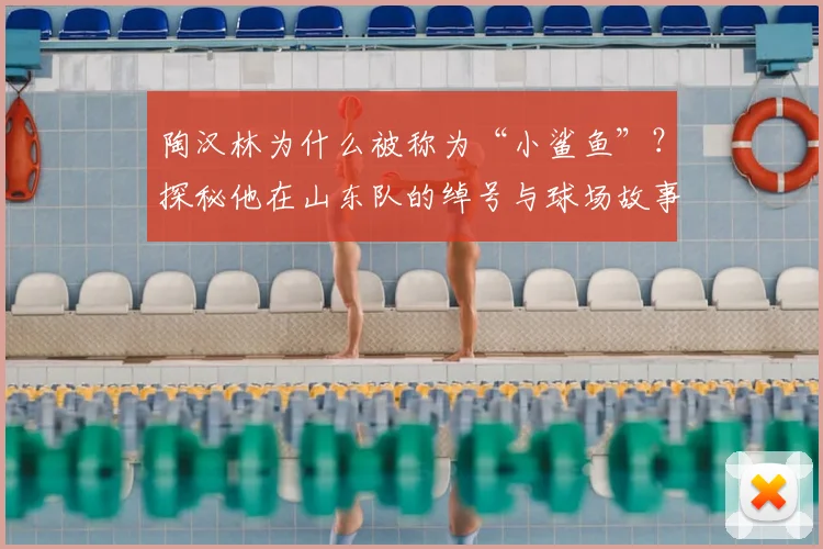 陶汉林为什么被称为“小鲨鱼”？探秘他在山东队的绰号与球场故事
